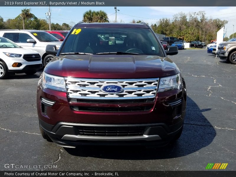 Burgundy Velvet / Medium Black 2019 Ford Explorer XLT