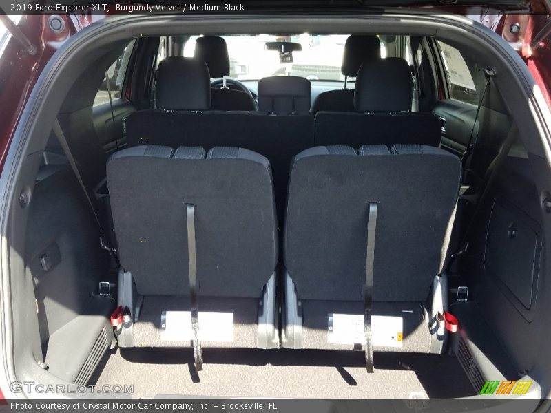 Burgundy Velvet / Medium Black 2019 Ford Explorer XLT