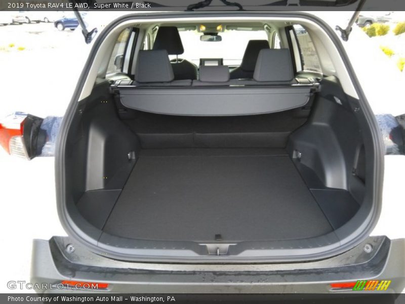 2019 RAV4 LE AWD Trunk