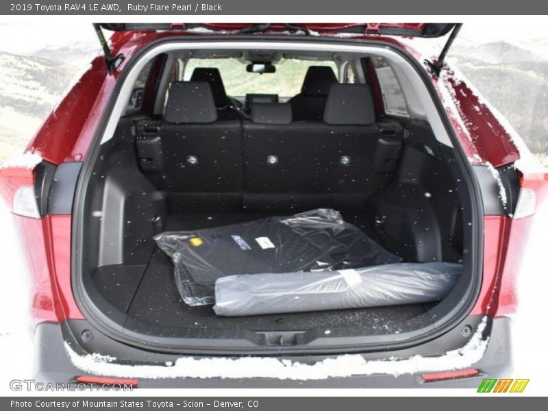 Ruby Flare Pearl / Black 2019 Toyota RAV4 LE AWD