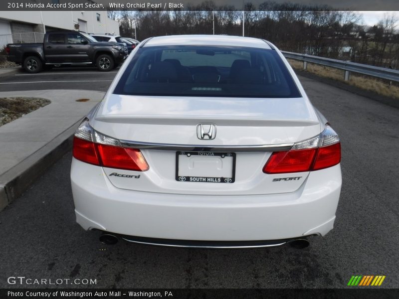 White Orchid Pearl / Black 2014 Honda Accord Sport Sedan