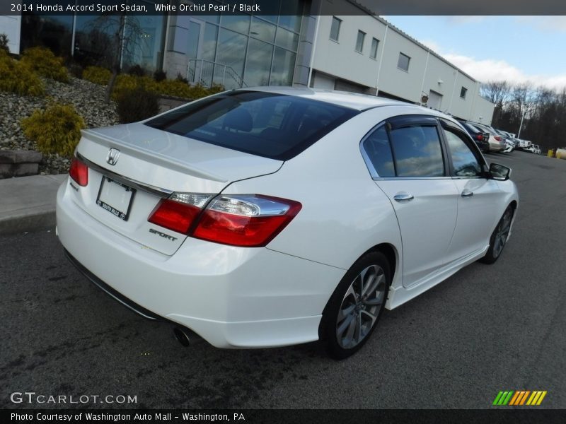 White Orchid Pearl / Black 2014 Honda Accord Sport Sedan