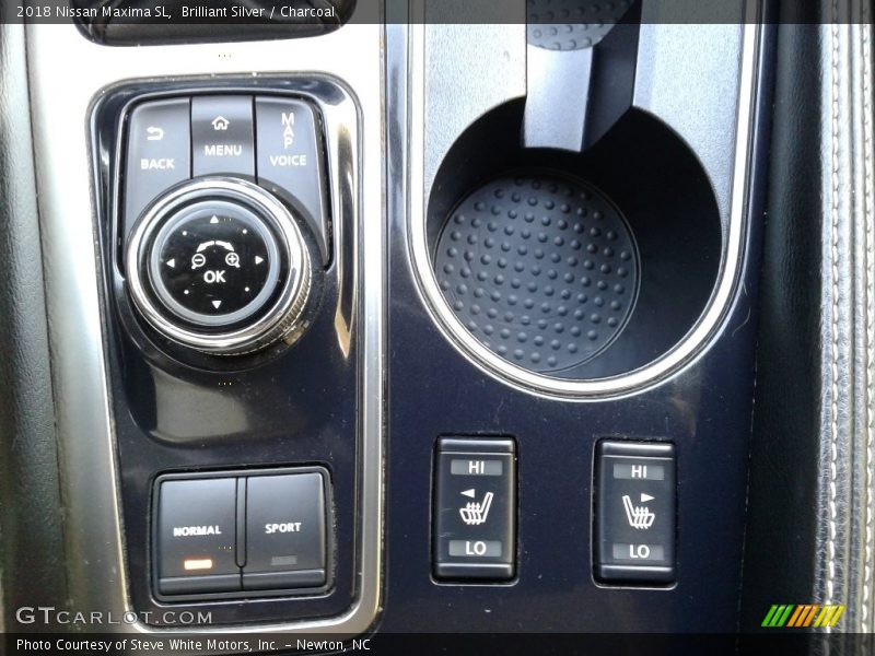 Controls of 2018 Maxima SL