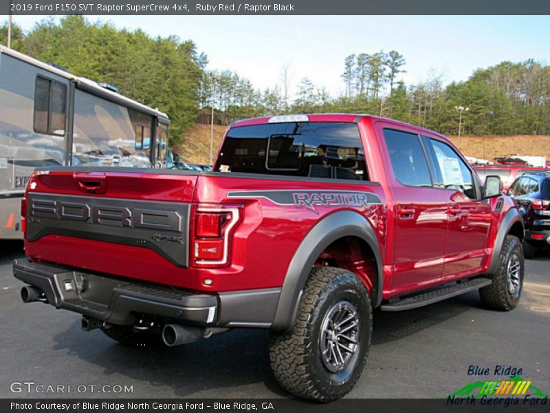 Ruby Red / Raptor Black 2019 Ford F150 SVT Raptor SuperCrew 4x4