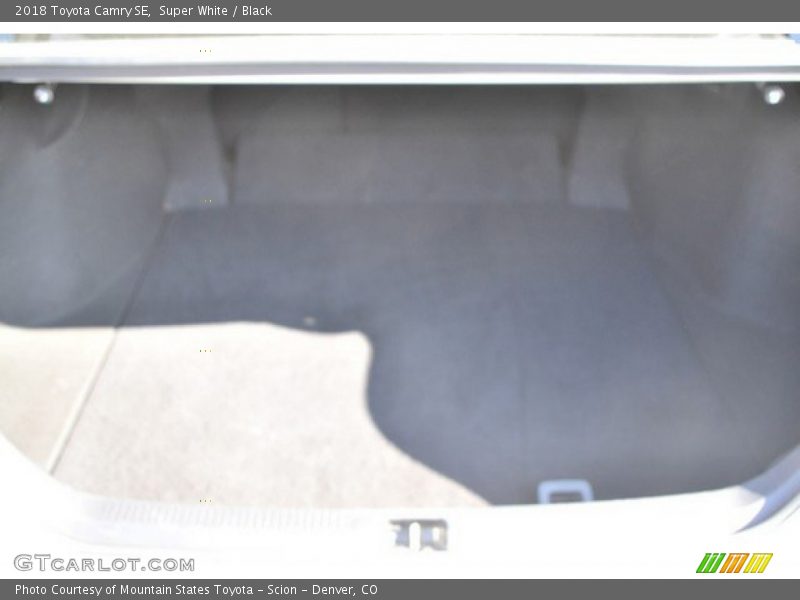 Super White / Black 2018 Toyota Camry SE