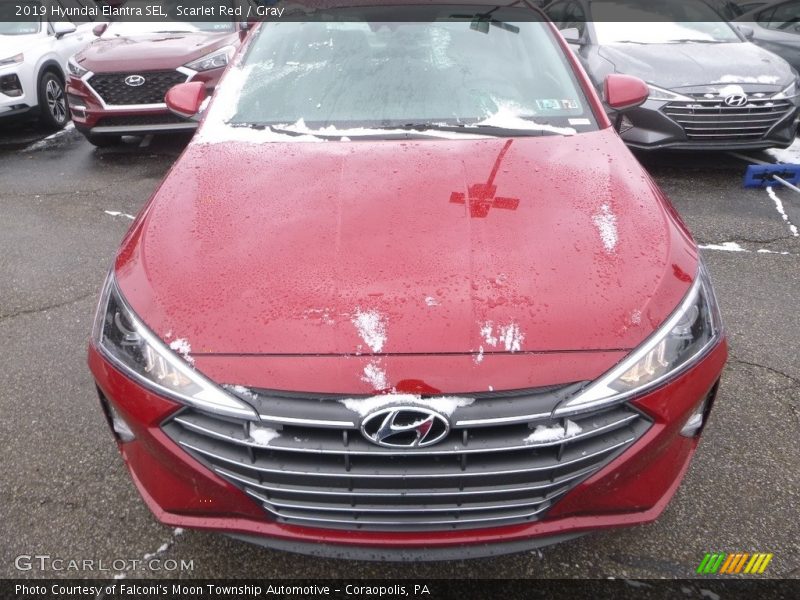 Scarlet Red / Gray 2019 Hyundai Elantra SEL