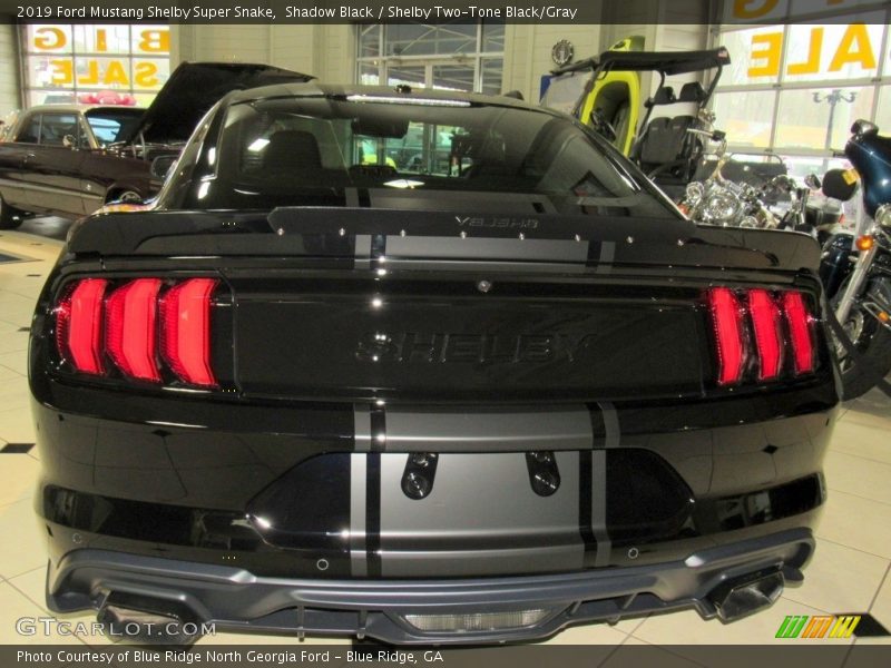 Shadow Black / Shelby Two-Tone Black/Gray 2019 Ford Mustang Shelby Super Snake