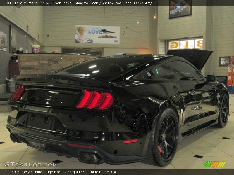 Shadow Black / Shelby Two-Tone Black/Gray 2019 Ford Mustang Shelby Super Snake