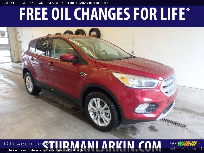 Ruby Red / Chromite Gray/Charcoal Black 2019 Ford Escape SE 4WD