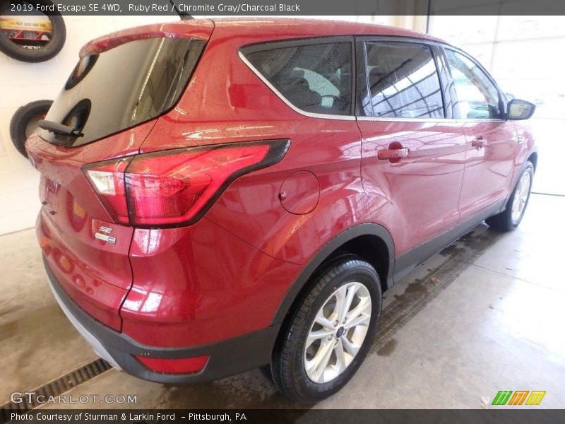 Ruby Red / Chromite Gray/Charcoal Black 2019 Ford Escape SE 4WD