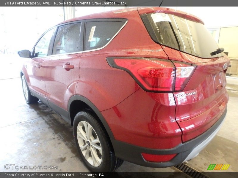 Ruby Red / Chromite Gray/Charcoal Black 2019 Ford Escape SE 4WD