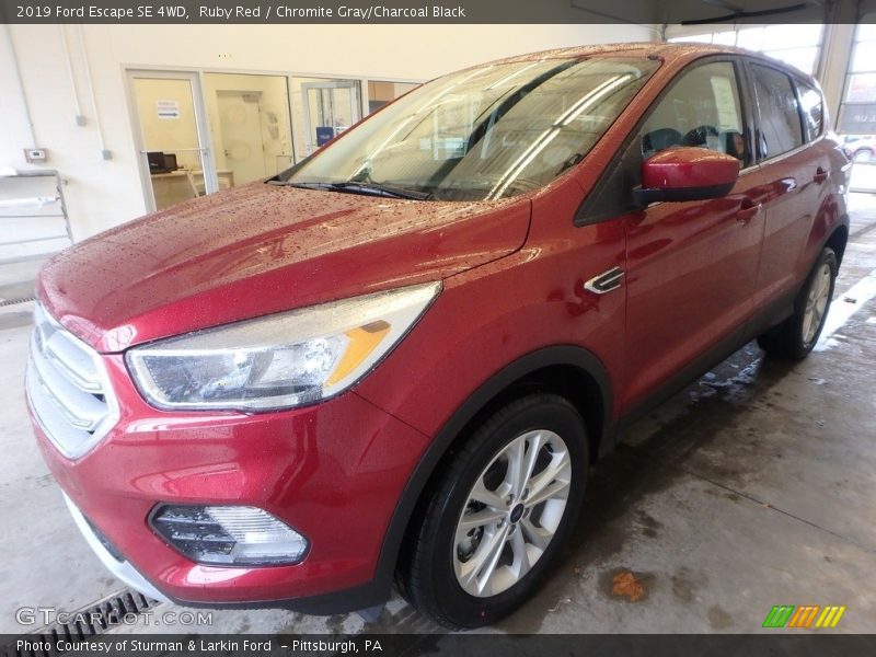 Ruby Red / Chromite Gray/Charcoal Black 2019 Ford Escape SE 4WD