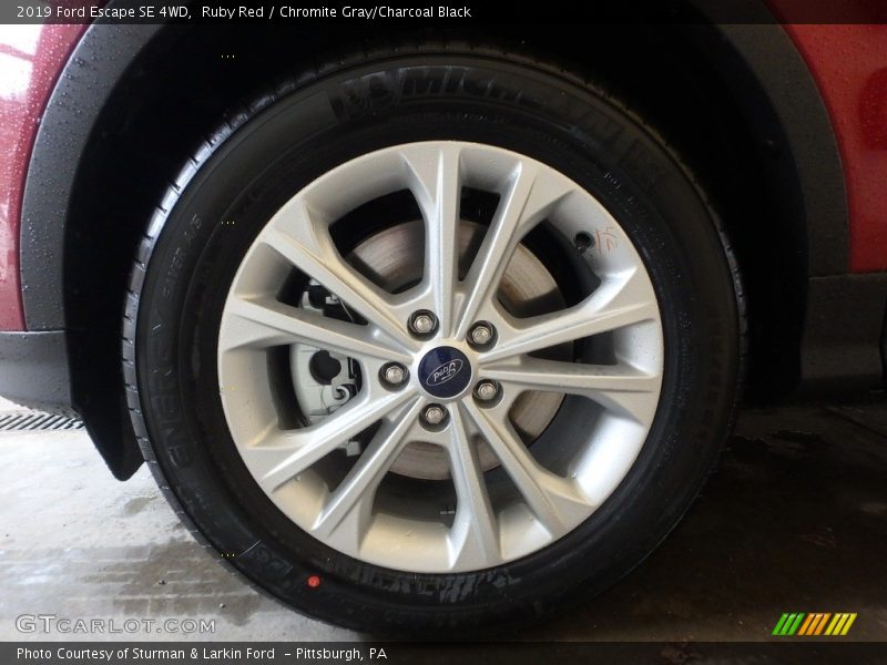 Ruby Red / Chromite Gray/Charcoal Black 2019 Ford Escape SE 4WD