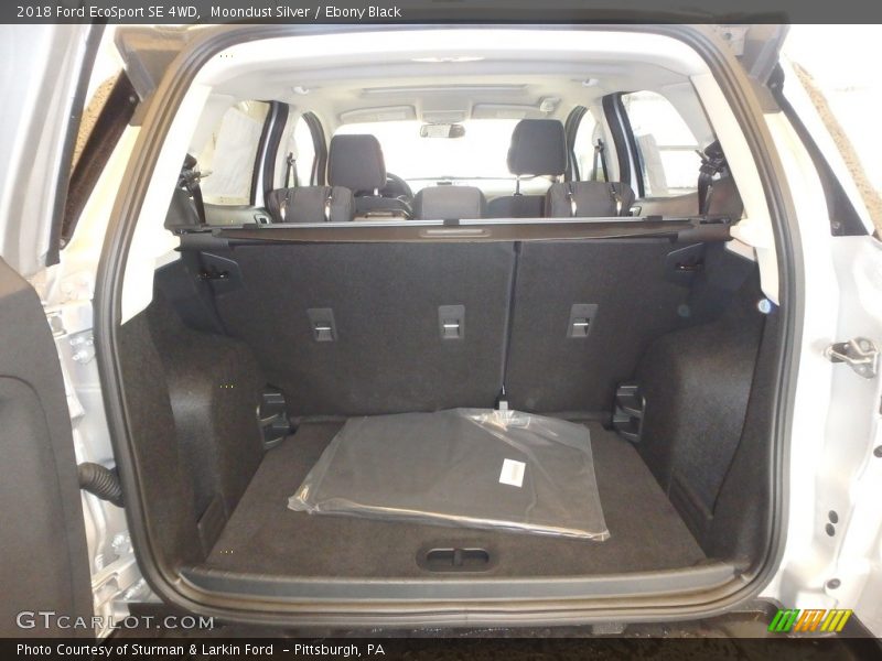 Moondust Silver / Ebony Black 2018 Ford EcoSport SE 4WD