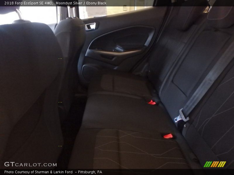 Moondust Silver / Ebony Black 2018 Ford EcoSport SE 4WD