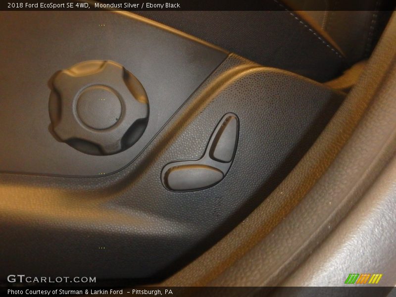 Moondust Silver / Ebony Black 2018 Ford EcoSport SE 4WD