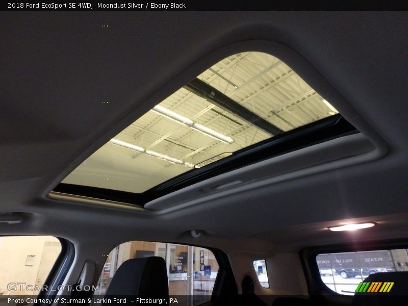 Moondust Silver / Ebony Black 2018 Ford EcoSport SE 4WD