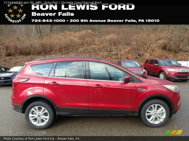 Ruby Red / Chromite Gray/Charcoal Black 2019 Ford Escape SEL 4WD