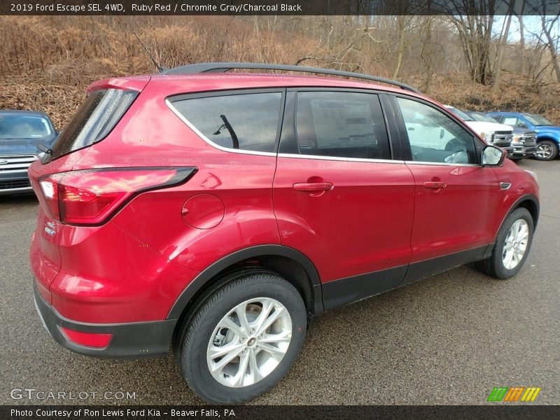 Ruby Red / Chromite Gray/Charcoal Black 2019 Ford Escape SEL 4WD