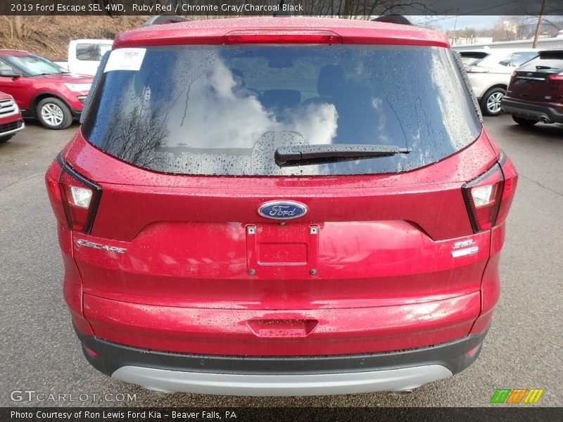 Ruby Red / Chromite Gray/Charcoal Black 2019 Ford Escape SEL 4WD