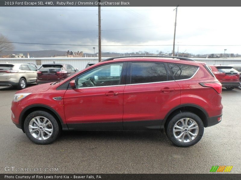Ruby Red / Chromite Gray/Charcoal Black 2019 Ford Escape SEL 4WD