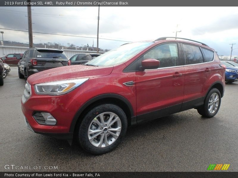 Ruby Red / Chromite Gray/Charcoal Black 2019 Ford Escape SEL 4WD