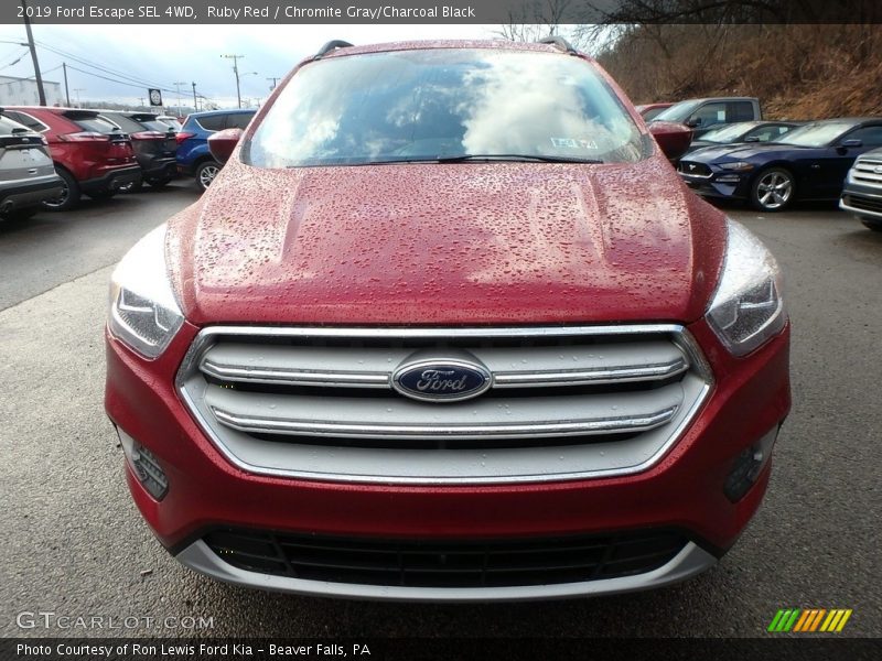 Ruby Red / Chromite Gray/Charcoal Black 2019 Ford Escape SEL 4WD