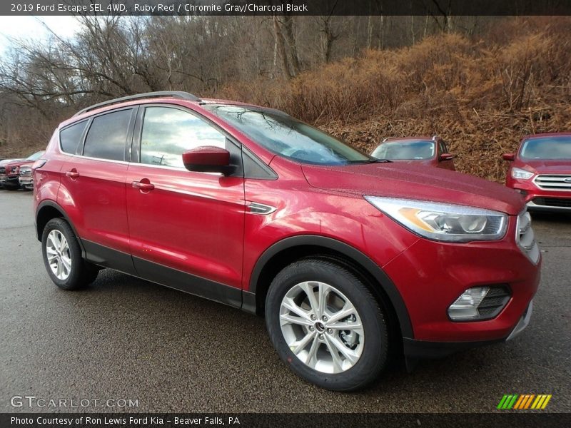 Ruby Red / Chromite Gray/Charcoal Black 2019 Ford Escape SEL 4WD