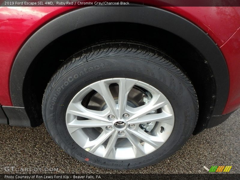 Ruby Red / Chromite Gray/Charcoal Black 2019 Ford Escape SEL 4WD