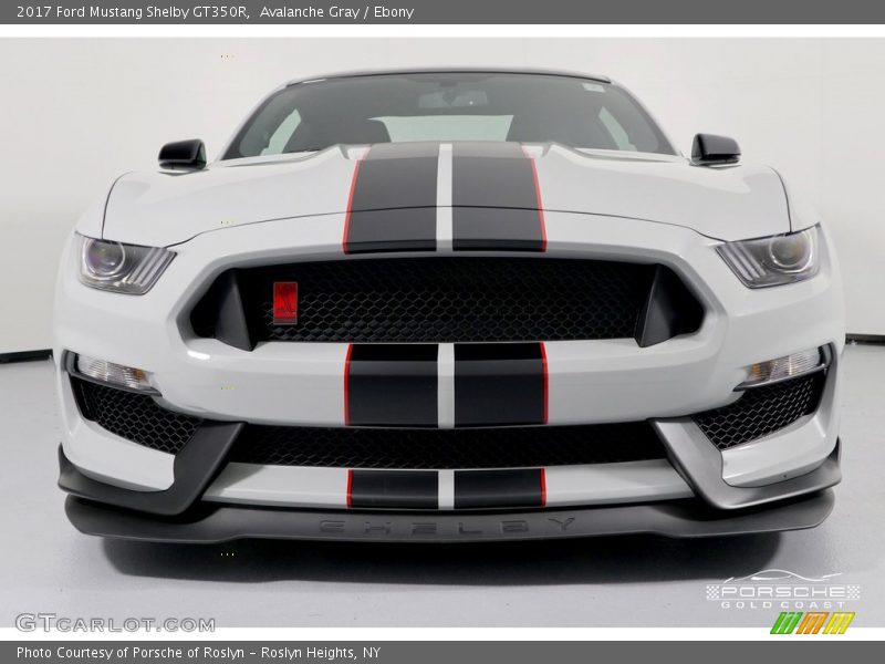 Avalanche Gray / Ebony 2017 Ford Mustang Shelby GT350R