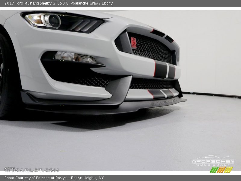 Avalanche Gray / Ebony 2017 Ford Mustang Shelby GT350R