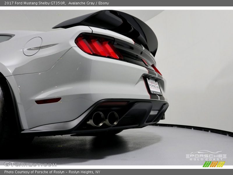 Avalanche Gray / Ebony 2017 Ford Mustang Shelby GT350R