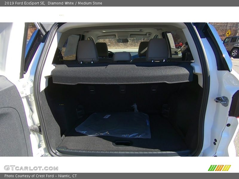 Diamond White / Medium Stone 2019 Ford EcoSport SE