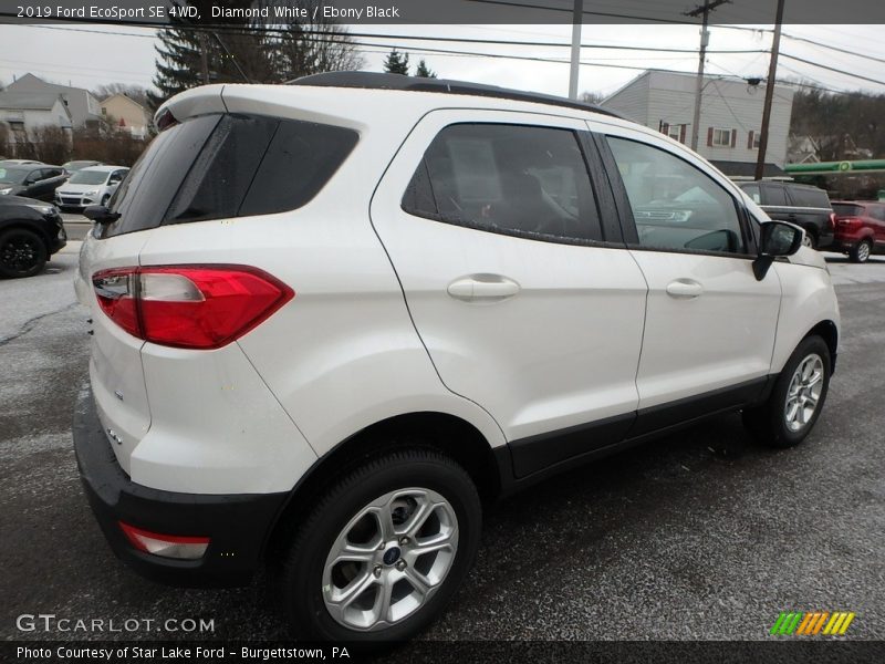 Diamond White / Ebony Black 2019 Ford EcoSport SE 4WD