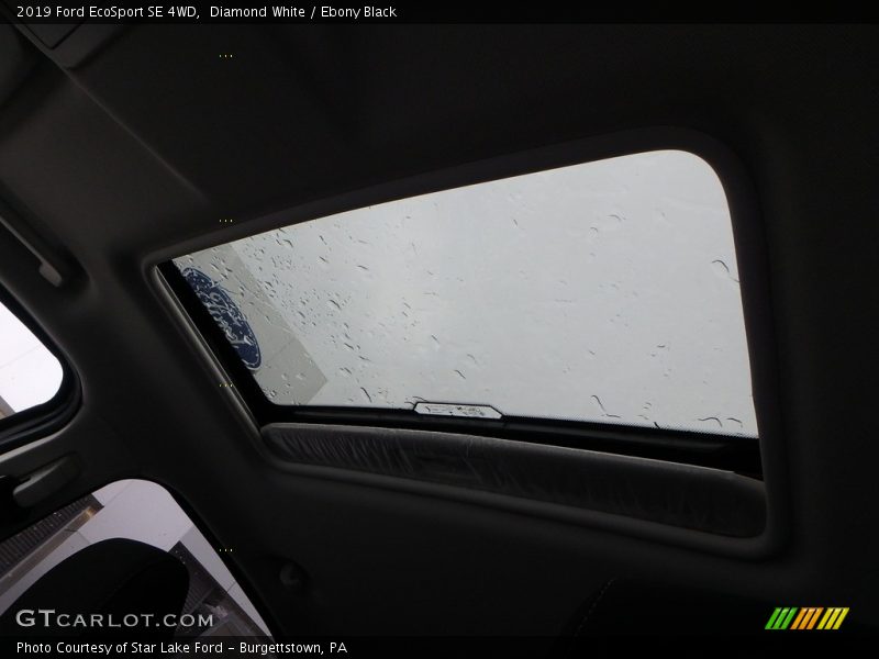 Diamond White / Ebony Black 2019 Ford EcoSport SE 4WD