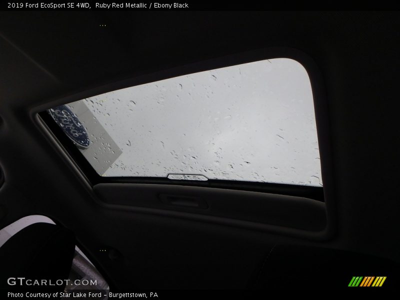 Ruby Red Metallic / Ebony Black 2019 Ford EcoSport SE 4WD