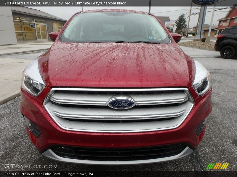Ruby Red / Chromite Gray/Charcoal Black 2019 Ford Escape SE 4WD