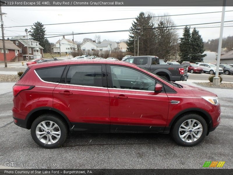 Ruby Red / Chromite Gray/Charcoal Black 2019 Ford Escape SE 4WD