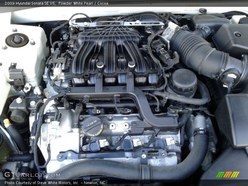 Powder White Pearl / Cocoa 2009 Hyundai Sonata SE V6