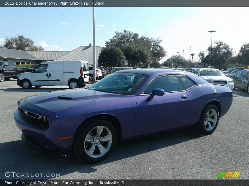 Plum Crazy Pearl / Black 2019 Dodge Challenger SXT