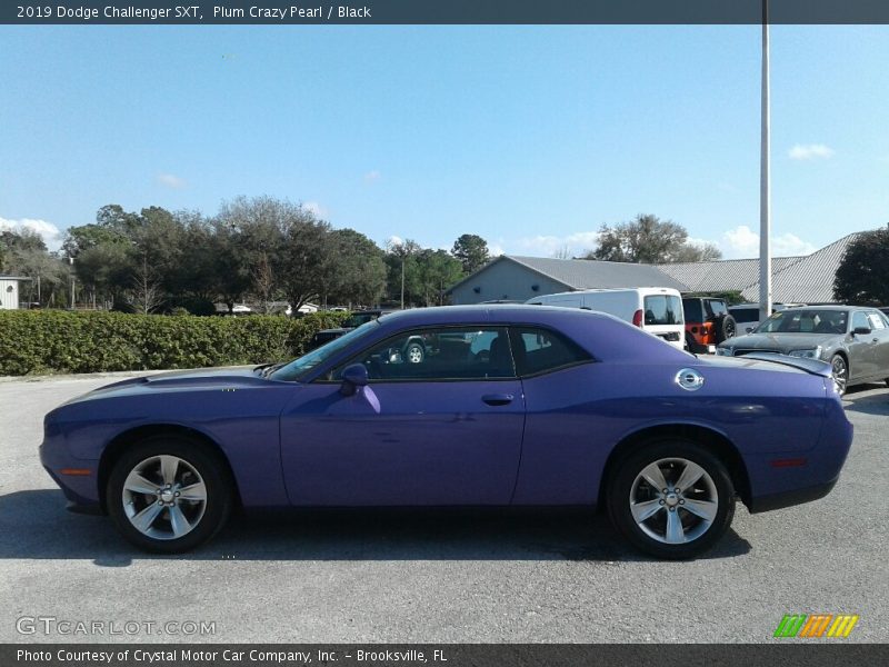 Plum Crazy Pearl / Black 2019 Dodge Challenger SXT