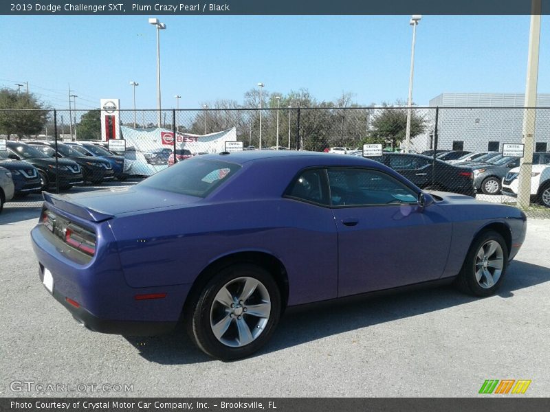 Plum Crazy Pearl / Black 2019 Dodge Challenger SXT