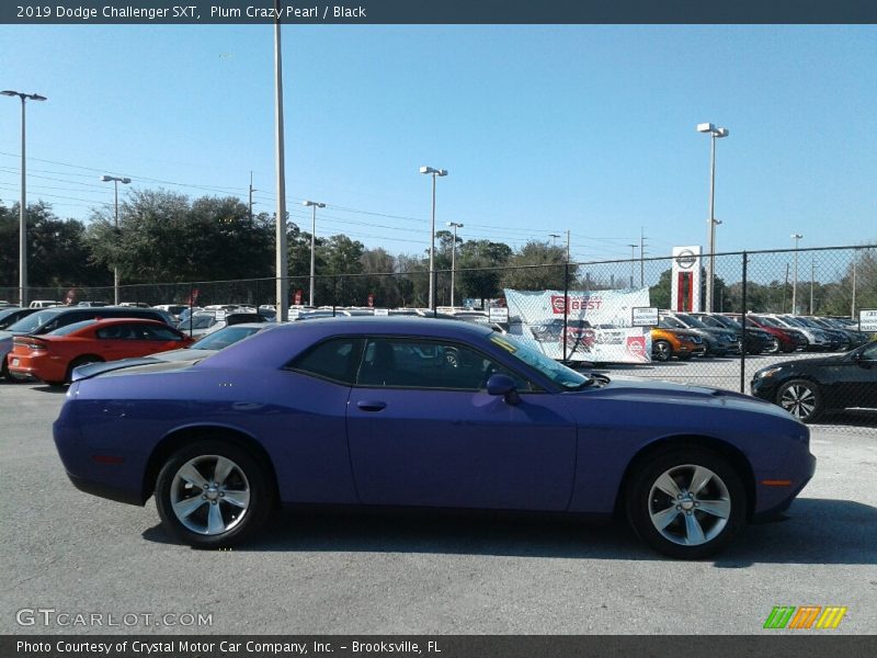 Plum Crazy Pearl / Black 2019 Dodge Challenger SXT
