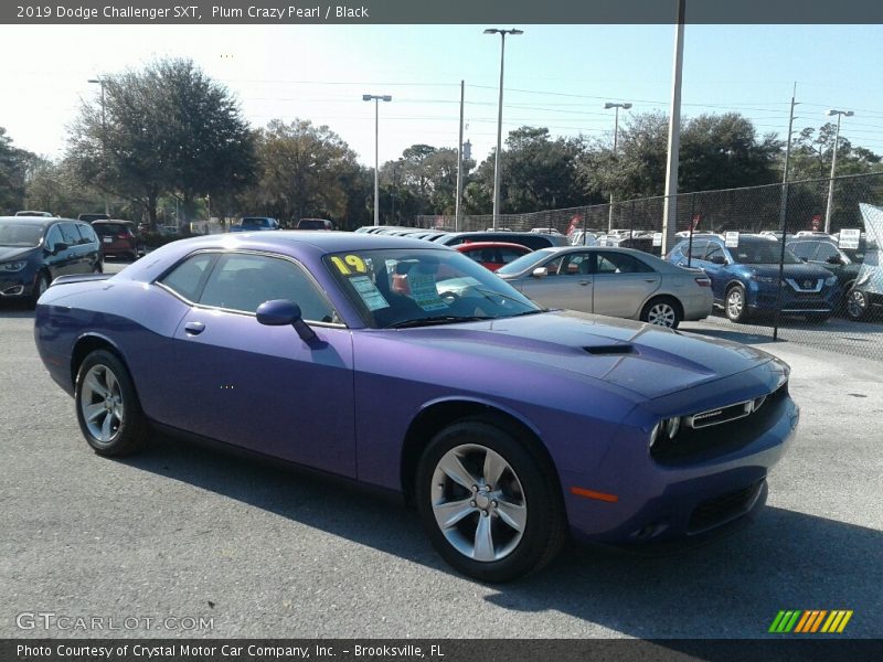 Plum Crazy Pearl / Black 2019 Dodge Challenger SXT