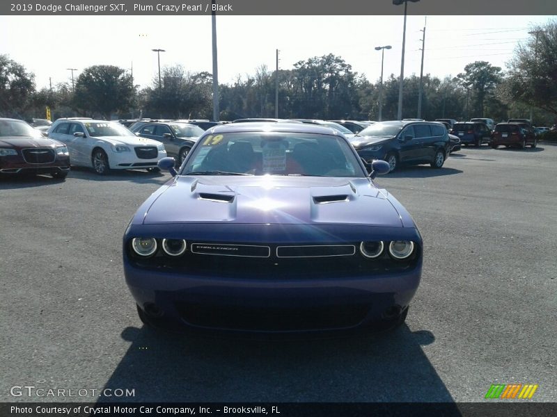 Plum Crazy Pearl / Black 2019 Dodge Challenger SXT