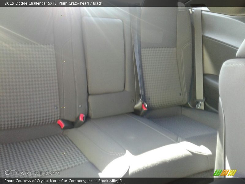 Plum Crazy Pearl / Black 2019 Dodge Challenger SXT