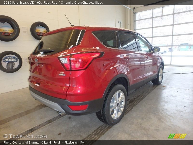 Ruby Red / Chromite Gray/Charcoal Black 2019 Ford Escape SE 4WD