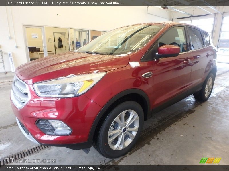 Ruby Red / Chromite Gray/Charcoal Black 2019 Ford Escape SE 4WD
