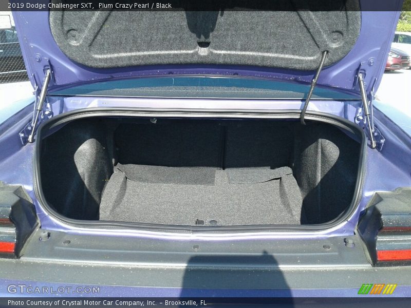 Plum Crazy Pearl / Black 2019 Dodge Challenger SXT