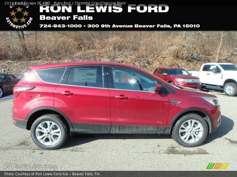 Ruby Red / Chromite Gray/Charcoal Black 2019 Ford Escape SE 4WD